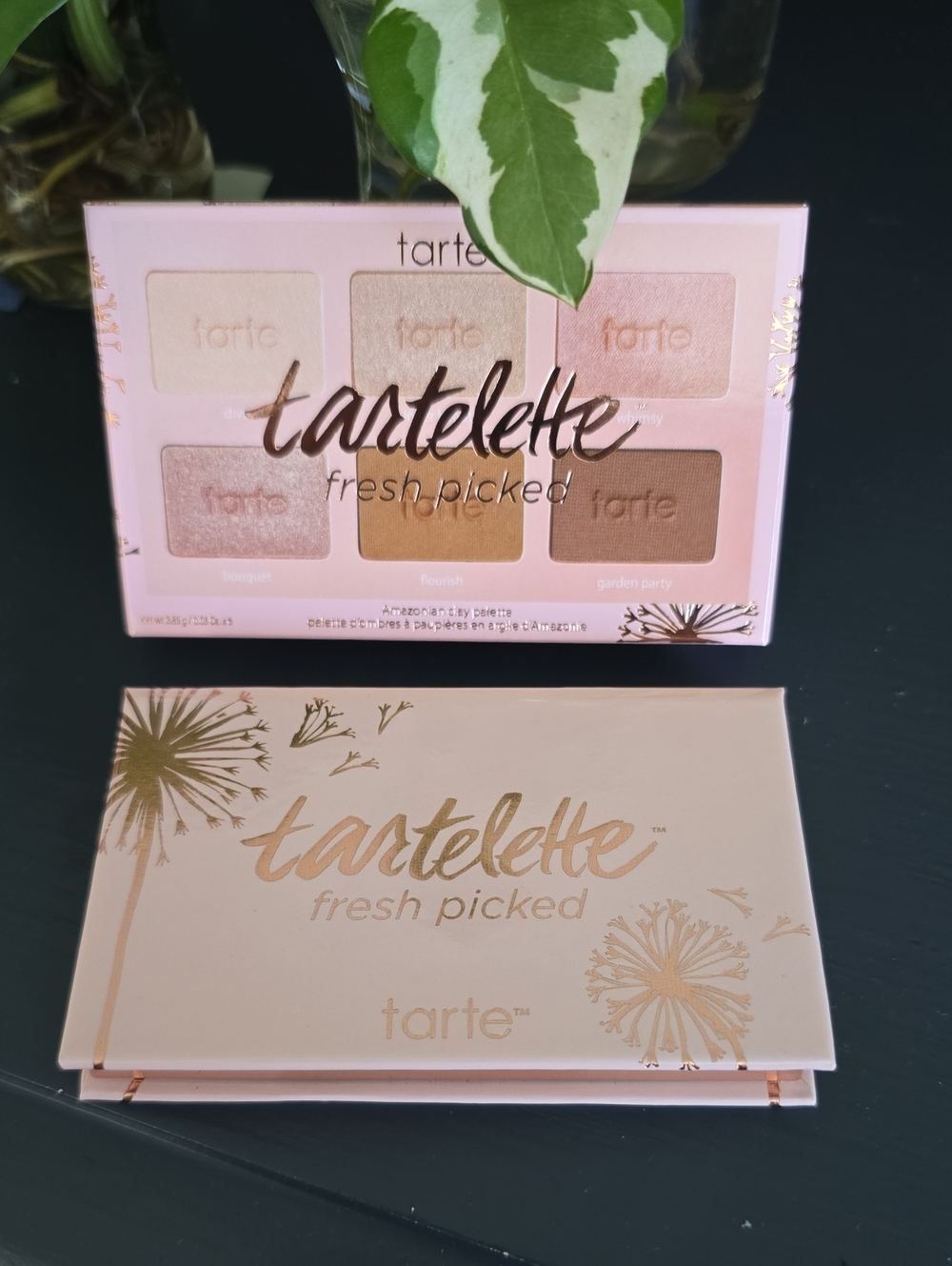 6/8 Tartelette pallet Fresh Picked Pallet